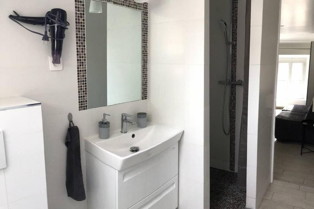 Duplex Bellifontain Au Coeur De Fontainebleau Lejlighed Eksteriør billede